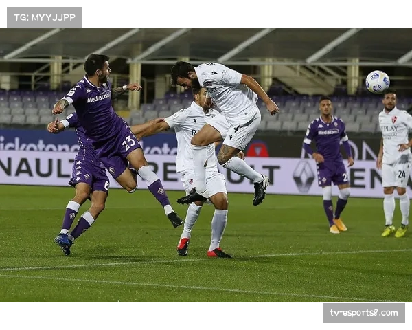 意甲联赛最新版权费用分配方案探讨,中小球队生存状况引关注