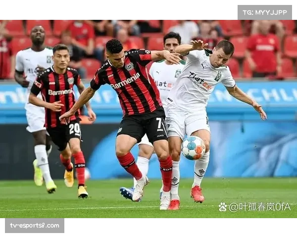 DFL（德国足球职业联盟）报告：德甲本赛季上半程场均上座率再创历史新高